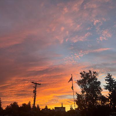 Season 5 - Election Season, a recap and where and how do we hold humanity of others in the midst of polarization