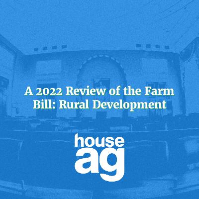 A 2022 Review of the Farm Bill: Rural Development