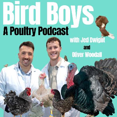 The one where Jed & Ollie assess YOUR birds! The one where Jed & Ollie assess YOUR birds!