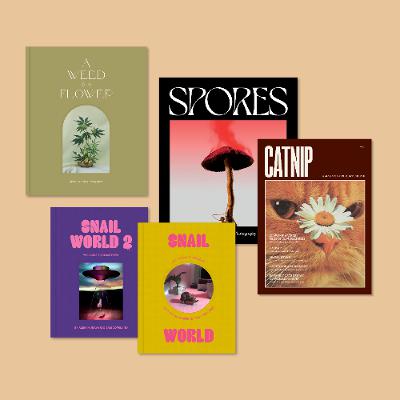 Broccoli magazine's new beginnings