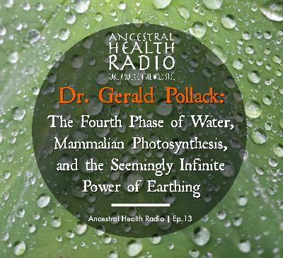 Dr. Gerald Pollack: The Fourth Phase of Water, Mammalian Photosynthesis, and the Seemingly Infinite Power of Earthing | Ep.13