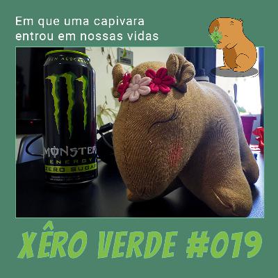 #019 - Sobre verões e invernos das nossas vidas
