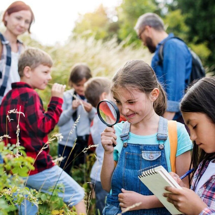 Effective Biodiversity Surveys For Habitat Management