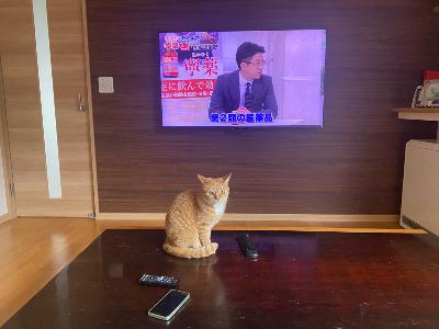 #008 火曜日恒例の宿題配信 from Radiotalk