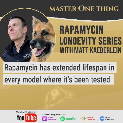 Matt Kaeberlein on Rapamycin Longevity Series | Lessons learned from two decades of Rapamycin research