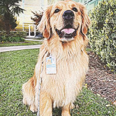 #4: Meet the Infurrluencers - Part 2 (Influencer Parents) #4: Meet the Infurrluencers - Part 2 (Influencer Parents)