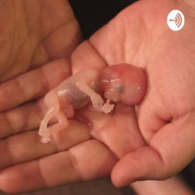 abortion  (Trailer)