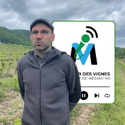 Die I Domaine Achard-Vincent I Thomas Achard, Trois générations d'engagement bio (extrait)