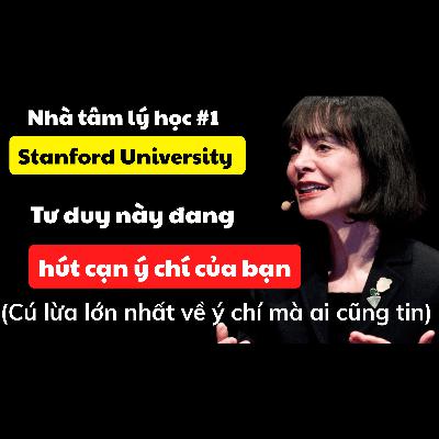 48. Khoa học mới nhất về Ý CHÍ tiết lộ Sức mạnh đáng kinh ngạc của Niềm tin (bạn không hề thiếu ý chí)