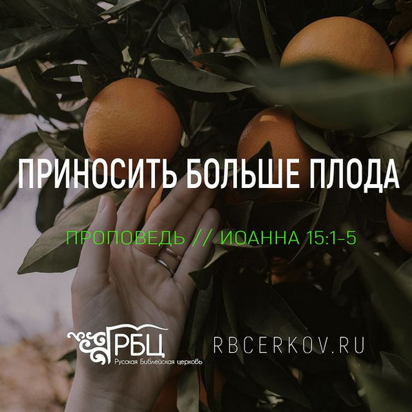 Плодоносная жизнь. Часть 2. Повышение эффективности. Евгений Бахмутский episode artwork