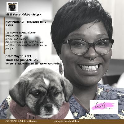 NEW PODCAST - TAILS FROM HEAVEN "THE BABY BIRD I MET" NEW PODCAST - TAILS FROM HEAVEN "THE BABY BIRD I MET"