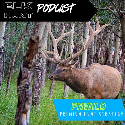 Finding Success with Limited Entry Tags: Strategies, Tactics, and Mindset