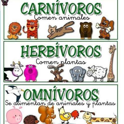 ¿Cómo se nutren los animales? ¿Cómo se nutren los animales?