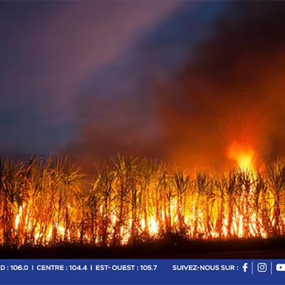 Incendies dans les champs de canne à sucre : un fléau estival qui perdure à Maurice avec 255 cas recensés en octobre