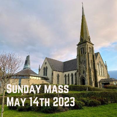 Skate's Comeback: Fun in a Sandbox | Gies #63