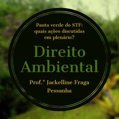Pauta verde do STF: quais ações discutidas em plenário?