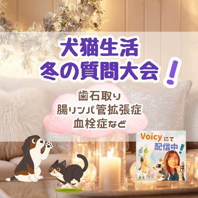 一般公開LIVE🍀冬の犬猫との過ごし方🐶🐱