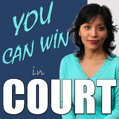 How To Win an IP Litigation Case, with Attorney Elizabeth Yang of the Law and Mediation Offices Elizabeth Yang
