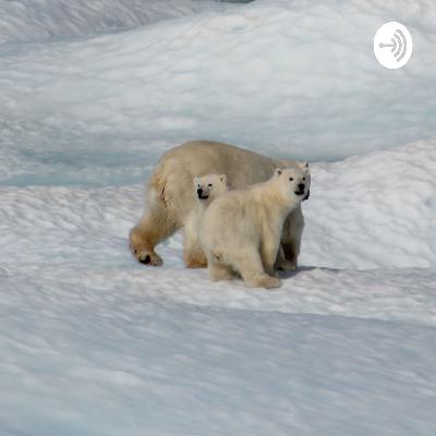 ‘’GLOBAL WARMING CRISIS’’