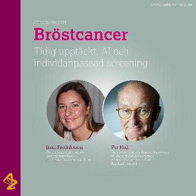 Bröstcancer – tidig upptäckt, AI och individanpassad screening
