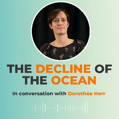 How to stop the decline of the ocean How to stop the decline of the ocean
