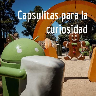 MEJORES: GATOS O PERROS?