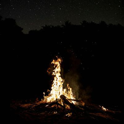 Calming Fire & Crickets Night 8 Hours | Fire & Crickets for Sleep, Relaxation & Studying