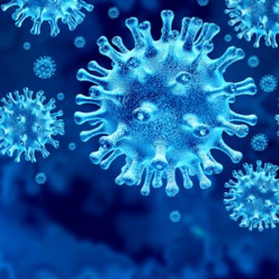 कोभिड १९ ले प्रभाव पारिरहदा गाउँपालिकाको भुमिका के छ र संक्रमित नागरिकहरुको अवस्था के छ ? Live Programe