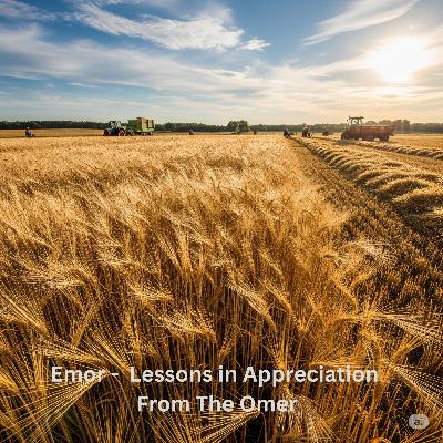 Emor - Lessons in Appreciation From The Omer