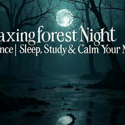 Relaxing Forest Night Ambience | Sleep, Study & Calm Your Mind