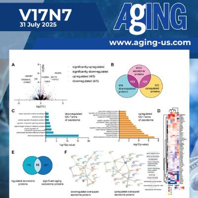 Young Human Blood Serum Factors Show Potential to Rejuvenate Skin Through Bone Marrow