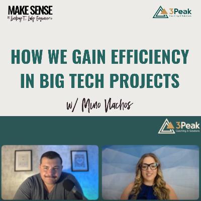Leadership in Times of Digital Transformation | Insights with Mino Vlachos from 3Peak Coaching