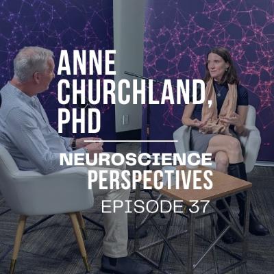 The Role of Neurons in Our Decisions & Behavior