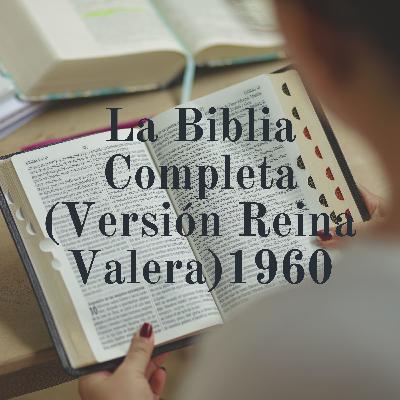 Génesis (Capitulos 1 al 16)