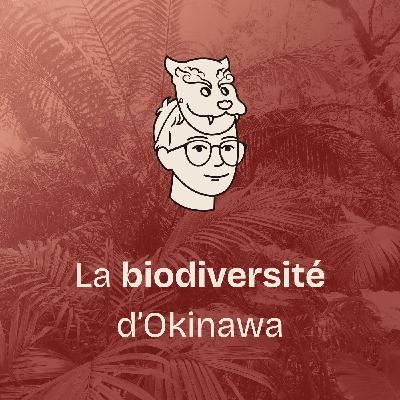#17 Fascinante biodiversité d’Okinawa (1/4) Balade dans la jungle