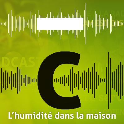 L’humidité dans votre maison