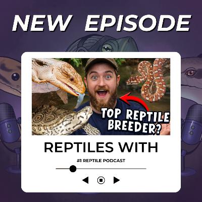 The HARDEST Part of Reptile Breeding & The BEST Lessons Learned | Reptiles With Podcast The HARDEST Part of Reptile Breeding & The BEST Lessons Learned | Reptiles With Podcast