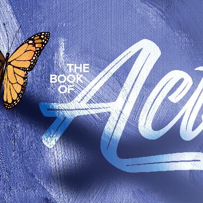 The Story of  Stephen