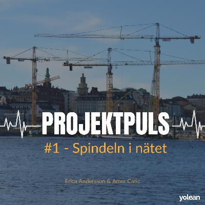 Spindeln i nätet