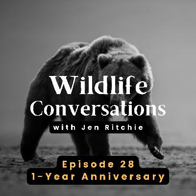 Episode 28: Wildlife Conversations Anniversary & Jen Ritchie Episode 28: Wildlife Conversations Anniversary & Jen Ritchie