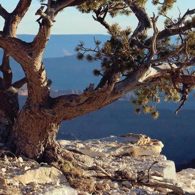 Murali Neelamegam | Beyond Peace