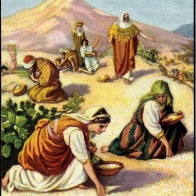 #180b Manna and Matzos - Parashas B'shalach
