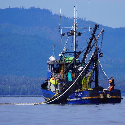 Episode 483 - The future of Alaska commercial fishing