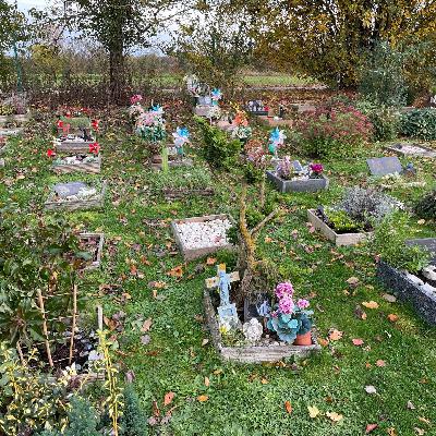 Erinnerungskultur - Trauer um mein Haustier