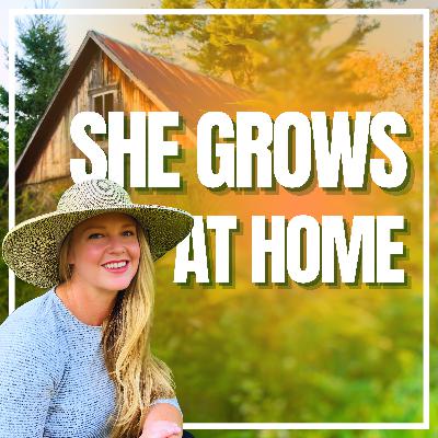 Harvest Is Coming: A Simple Guide to Flowering, Drying & Curing