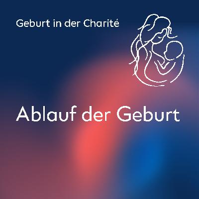 Ablauf der Geburt Ablauf der Geburt