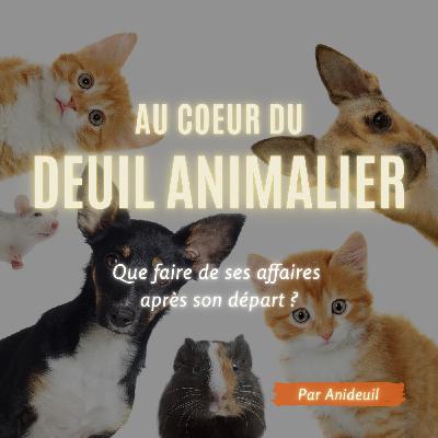 Épisode #13: Que faire de ses affaires après son départ ?