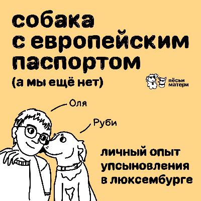 Собака с европейским паспортом (а мы ещё нет). Личный опыт упсыновления в Люксембурге