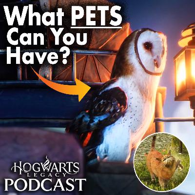 What Pets Can You Have In Hogwarts Legacy?