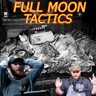 Full Moon Tactics and a 10-Coyote Night